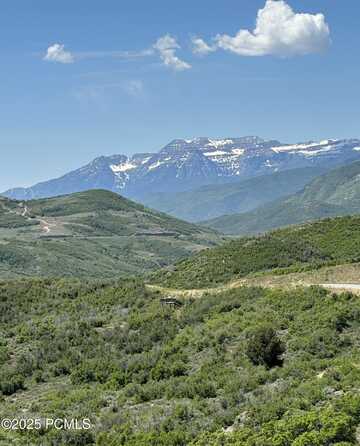 1354 E Gleaming Hills Way, Kamas, UT 84036