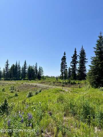 34708 North Fork Road, Anchor Point, AK 99556