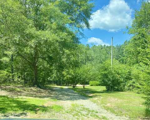 145 Magpie Street, Wagener, SC 29164