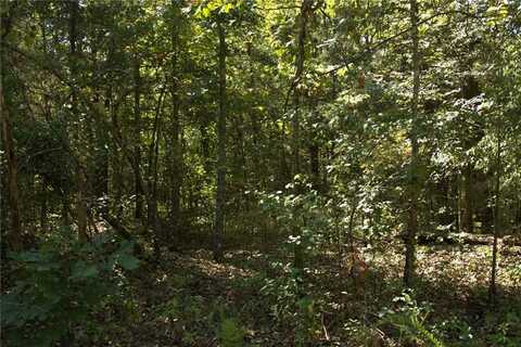 1505 Blackbird LN, Horseshoe Bend, AR 72512
