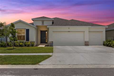 33700 HAMILTON HILL LANE, WESLEY CHAPEL, FL 33545