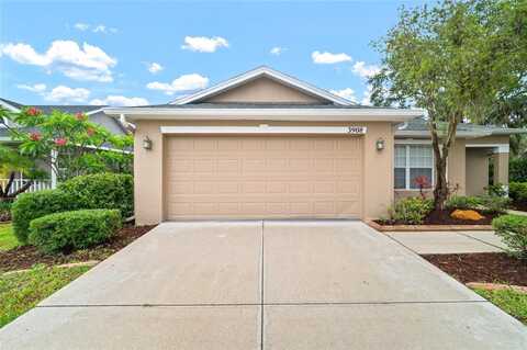 3908 DOUGLAS HILL PLACE, PARRISH, FL 34219