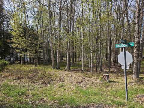 Towamensing Trail & Whitman Lane, Albrightsville, PA 18210