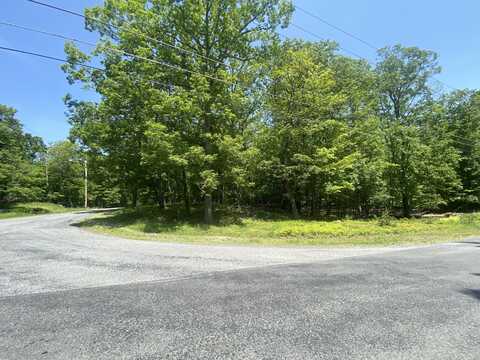 Lot 185, Bushkill, PA 18324