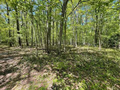 A310 Poplar Drive, Jim Thorpe, PA 18229