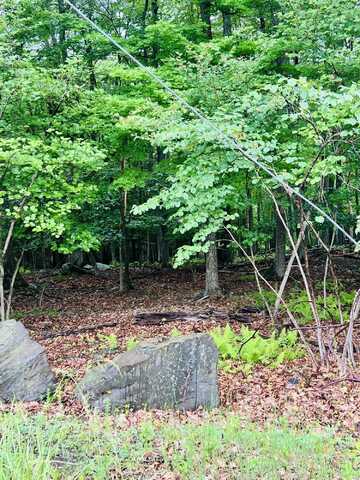 T556 Wooddale Road, East Stroudsburg, PA 18302