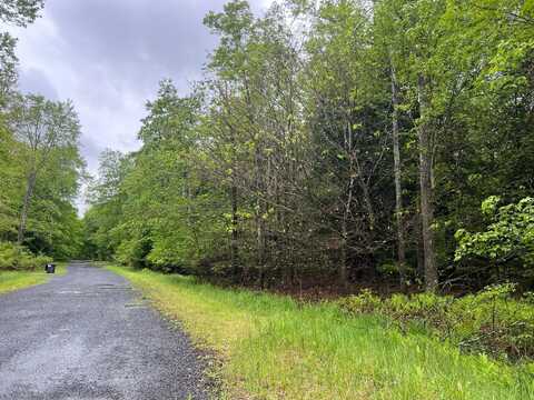 Land Pin 1 Forest Lane West 1001 W, Pocono Lake, PA 18347