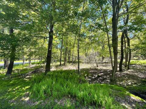 Ev988 Cummings Lane & Stony Mountain Road, Albrightsville, PA 18210
