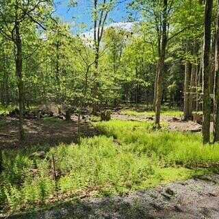 29 Old Silver Mine Trail, Gouldsboro, PA 18424