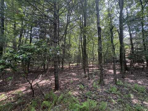 Lot 1009 Ash Lane, Kunkletown, PA 18058