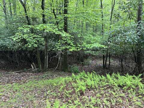 W14 Green Wood Dr, Kunkletown, PA 18058
