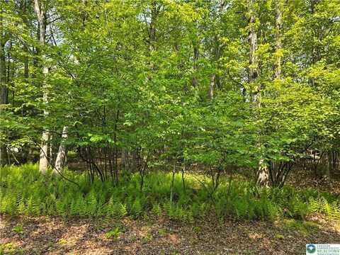 163 Piney Woods Drive, Jim Thorpe, PA 18229