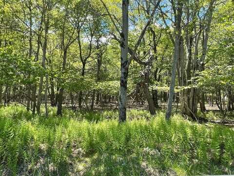 Ev805 Stony Mountain Road, Albrightsville, PA 18210