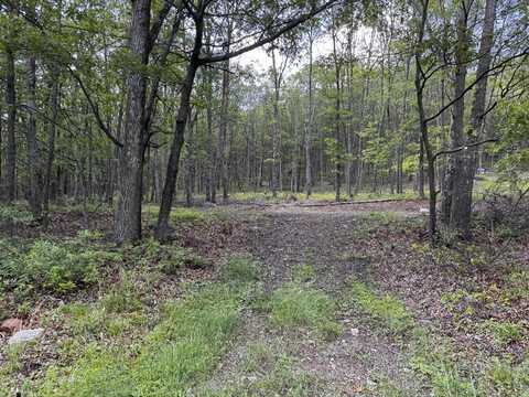 Foothill Blvd 5 Boulevard, Effort, PA 18330