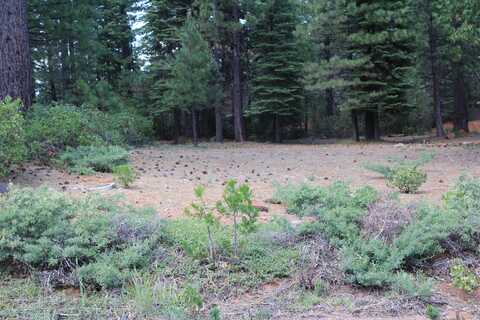 822 Red River Drive, Lake Almanor, CA 96137