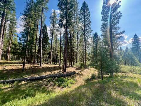 670 Redtail Loop, Clio, CA 96106