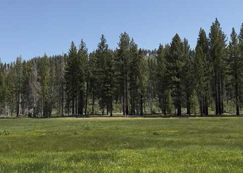928 27N09B, Taylorsville, CA 95983