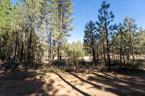 240 Bear Way, Portola, CA 96122