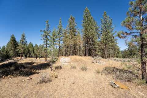 215 Cougar Way, Portola, CA 96122