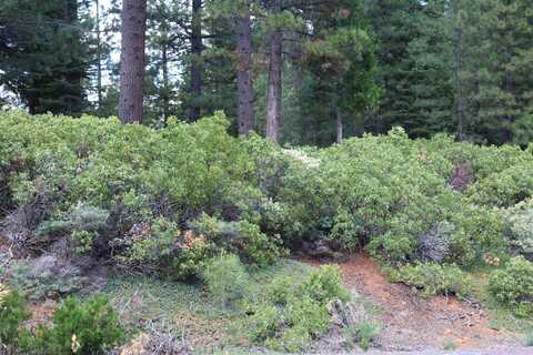838 Red River Drive, Lake Almanor, CA 96137