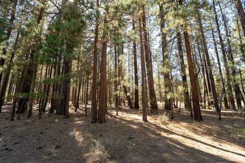 750 Third Street, Portola, CA 96122