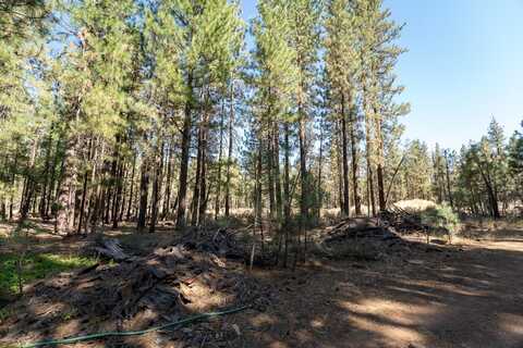 247 Bear Way, Portola, CA 96122