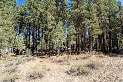 149 Otter Way, Portola, CA 96122
