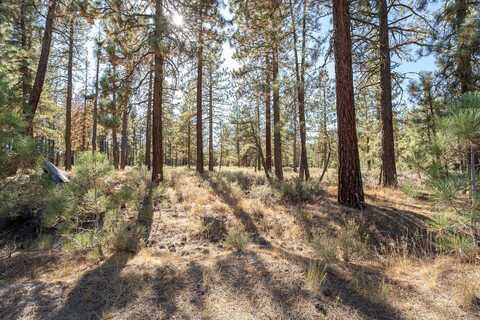 184 Grizzly Way, Portola, CA 96122