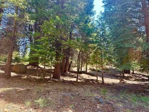 268 Osprey Loop, Wiest, CA 96020
