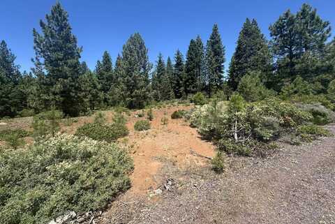 360 Bailey Creek Drive, Lake Almanor, CA 96137
