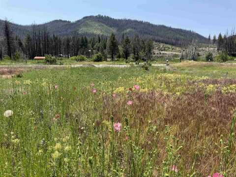 174 Hot Springs Road, Greenville, CA 95947