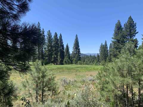 300 Grizzly Ranch Road, Portola, CA 96122
