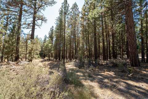 900 Third Street, Portola, CA 96122