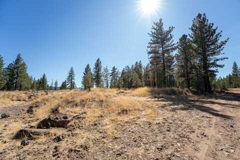 156 Cougar Way, Portola, CA 96122