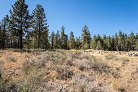 152 Otter Way, Portola, CA 96122