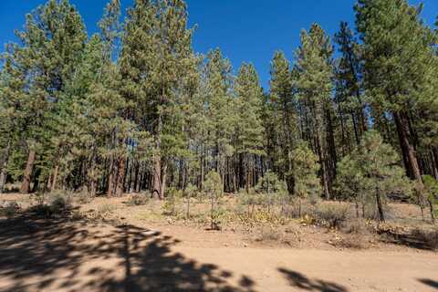 167 Bear Way, Portola, CA 96122