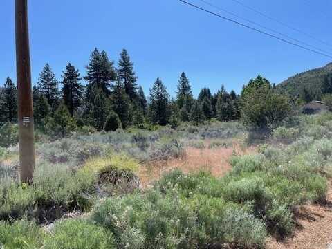 556 Longhorn Drive, Loyalton, CA 96118