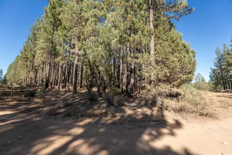 151 Grizzly Way, Portola, CA 96122