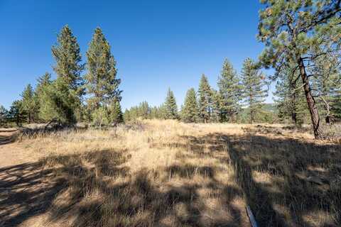 202 Otter Way, Portola, CA 96122