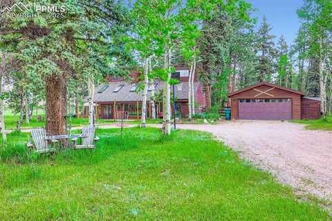 83 Aspen Village Road, Divide, CO 80814