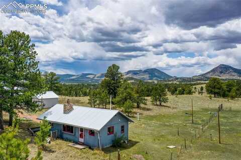 949 Doe Valley Road, Guffey, CO 80820