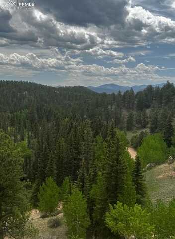 1505 Arapahoe Creek Trail, Florissant, CO 80816