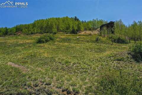 Unknown, Cripple Creek, CO 80813