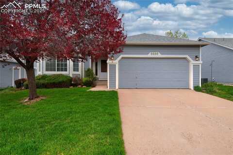 6689 Showhorse Court, Colorado Springs, CO 80922