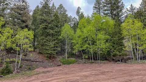 918 Pinion Lane, Cripple Creek, CO 80813
