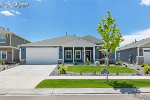 8323 Noreen Falls Drive, Colorado Springs, CO 80924