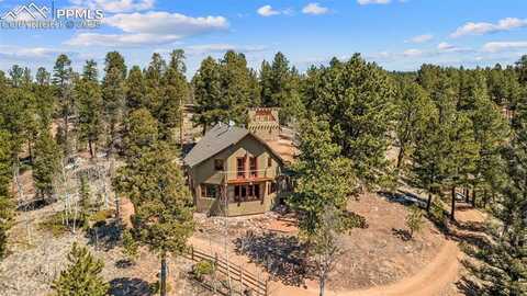 174 Needle Creek Road, Divide, CO 80814