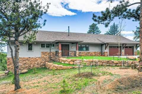 2754 County Road 421, Florissant, CO 80816