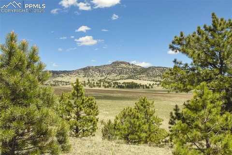 129 Eagle Nest Trail, Guffey, CO 80820