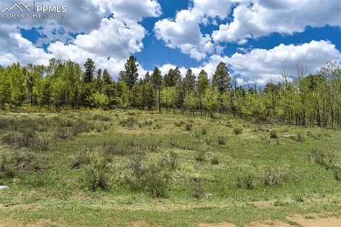 130 Rock Drive, Lake George, CO 80827